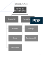 MEdicina Veterinaria Sistema Digestivo