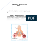 Sindrome Bronquial Obstructivo Agudo