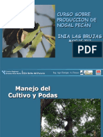 Manejo Del Cultivo de Pecano