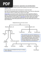 Mitosis, Development, Regeneration and Cell Differentiation