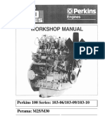 Perkins100workshop PDF