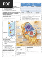 Cheat Sheet