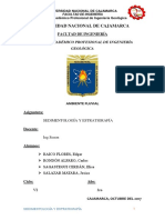 Ambiente Fluvial - Sedimentología y Estratigrafía