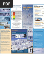 Avalanche Safety Brochure