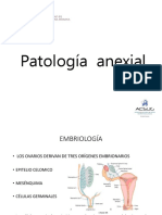 19.patologia Anexial