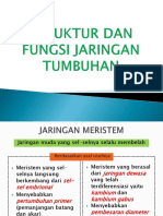 Struktur Dan Fungsi Jaringan Tumbuhan XI IPA