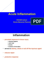 Acute Inflammation