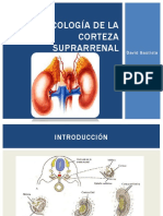 Farmacología de La Corteza Suprarrenal