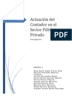 Actuación Del Contador en El Sector Público y Privado