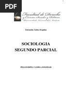 Sociologia Crítica Del Federalismo en Corrientes