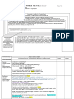 Structuri de Sustinere La Plante