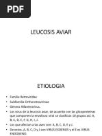 7.-Leucosis Aviar