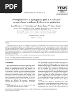 Overexpression of A Hydrogenase Gene in Clostridium Paraputrificum To Enhance Hydrogen Gas Production