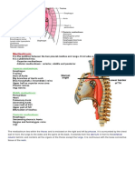 Mediastinum