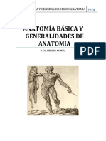 Anatomia Basica y Generalidades de Anatomia.