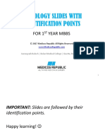 1st Year MBBS Histology Slides and Identification Points (FINAL)