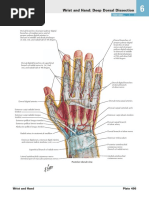 Wrist and Hand: Deep Dorsal Dissection : See Also