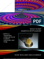 DMT Powerpoint