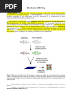 Introduccion Rna Seq