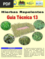 Hierbas Repelentes