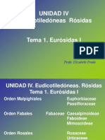 Unidad IV Tema 1 Eurosidas Fabidas