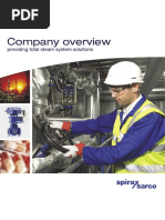 Company Overview: Providing Total Steam System Solutions