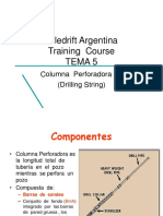 TEMA 5 - Columna de Perf. 1