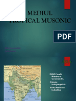 Mediul Tropical Musonic