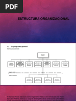 Estructura Organizacional