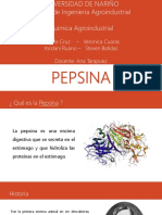 Diapositivas de Pepsina