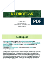 Kloroplas