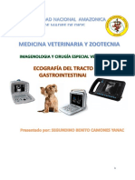 Ecografia Del Tracto Gastrointestinal