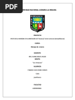 Efecto de La Humedad en La Brotación de - Amancay