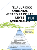 Jerarquia de Las Leyes Ambientales Tutela Jurídico Ambiental