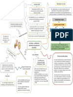 Mapa Mental Insulina