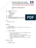 Informe Rectificadores