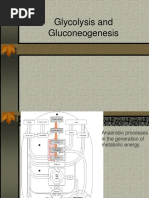 Glycolysis Gluconeogenesis