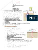 Essai in Situ