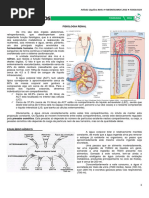 10 - Fisiologia Renal