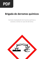 Brigada de Derrames Químicos