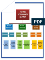 Factores Determinantes Del Estrés - Esquema