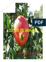 Cultivo Granado