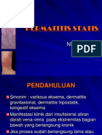 Dermatitis Statis