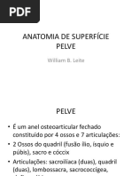 Anatomia de Superfície - Pelve