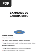 Coprología PDF