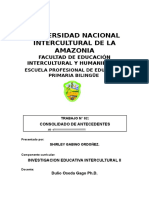 Consolidado de Antecedentes de Investigación