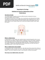 Caring For A Nephrostomy at Home Guidelines For District Nurses 41.0.45 1