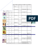 Protozoa Summary Table