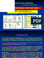 Fisiologia de Cultivos - Luz y Desarr