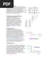 Acidos Fosfatidicos